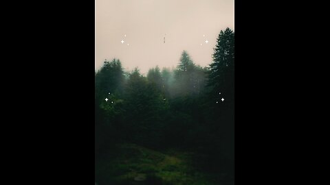 Hadees e nabvi (saw) #islam #viralvideos #islamicreminders #prophetmuhammadsaw #hadeesenabvi