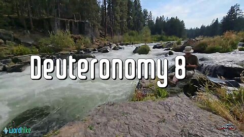 Deuteronomy 8, Bible Reading in Nature, BSB