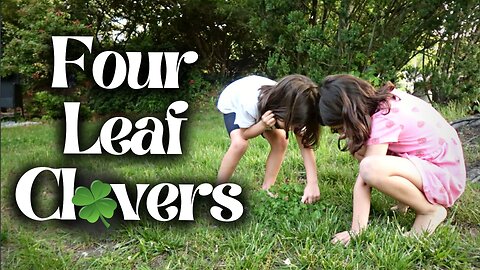The Four-Leaf Clover Project