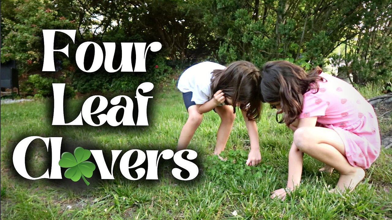 The Four-Leaf Clover Project