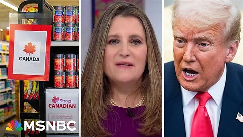 'These tariffs are just dumb': Former Canadian Deputy prime minister