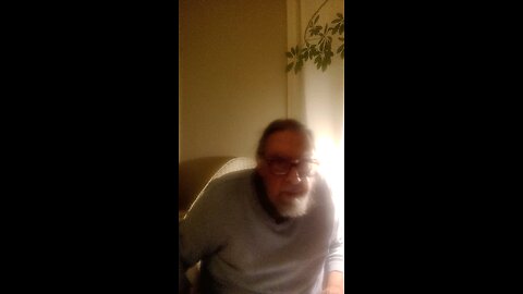 What is the Muslim Brotherhood