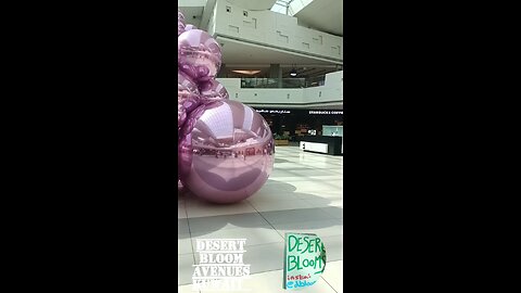 Desert bloom Avenues Kuwait