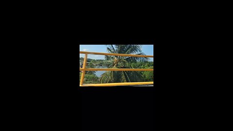 A brief video of the Canje Bridge.