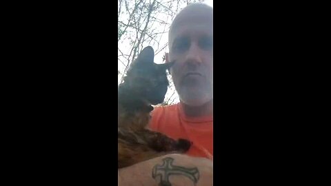 Me & Miss Mookee Looking for Mr Handsome Kitty Cat She's 10 Years Old and a Sweetheart So Much Love