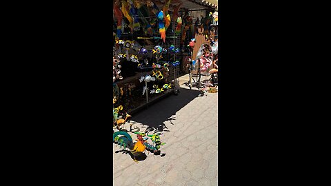 Do you need a vacation? Join us in Puerto Penasco , Mexico. #mexico #travel