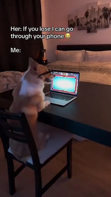 My dog always hits his shots