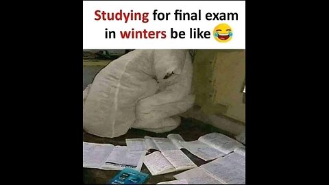 Padhai Mode: ON 📖✨