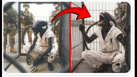 This Leaked Footage From Area 51 Has Everyone Asking Questions - The Squeezed Lemon