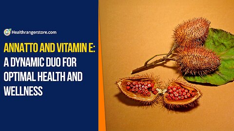 Annatto and vitamin E: A dynamic duo for optimal health and wellness