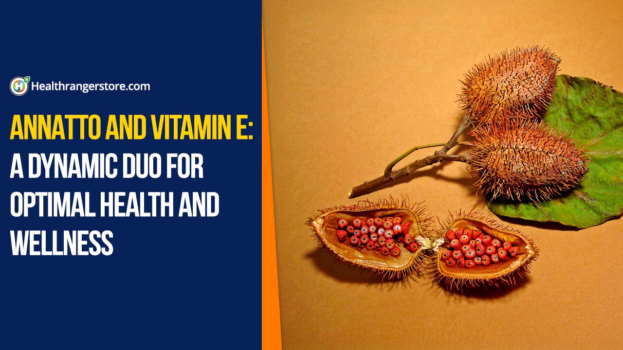 Annatto and vitamin E: A dynamic duo for optimal health and wellness