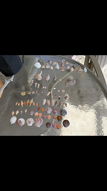 Beach Finds 2/12/2026 | 4K