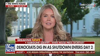 Karoline Leavitt TORCHES Dems for Giving Illegal Aliens Taxpayer-Funded Benefits