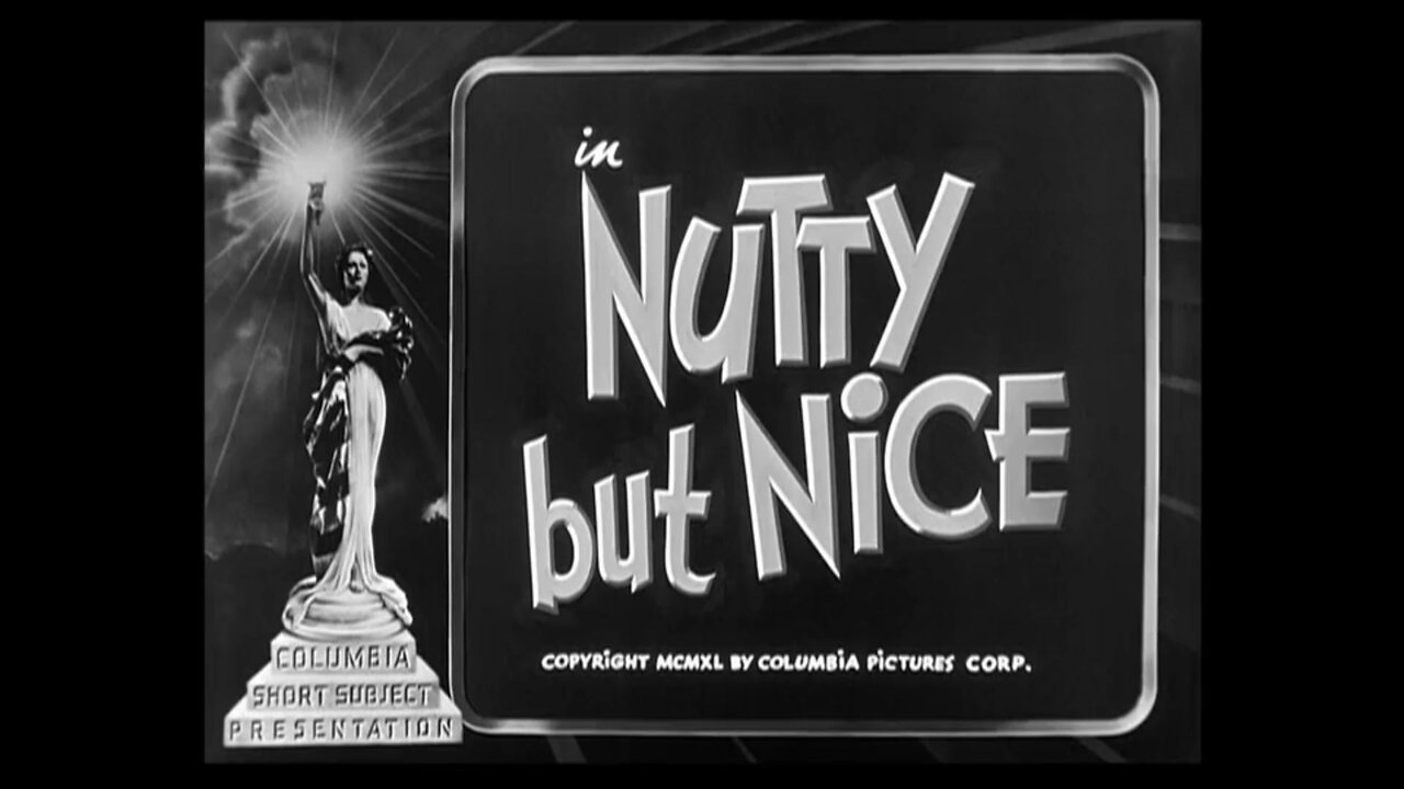 The Three Stooges - "Nutty But Nice"