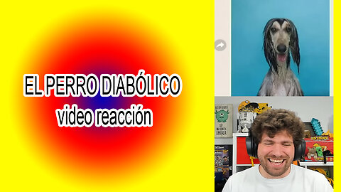 EL PERRO DIABÓLICO 😱🐶 video reacción