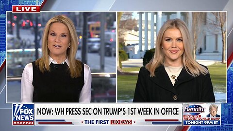 Karoline Leavitt: Trump will take any action necessary to secure the border