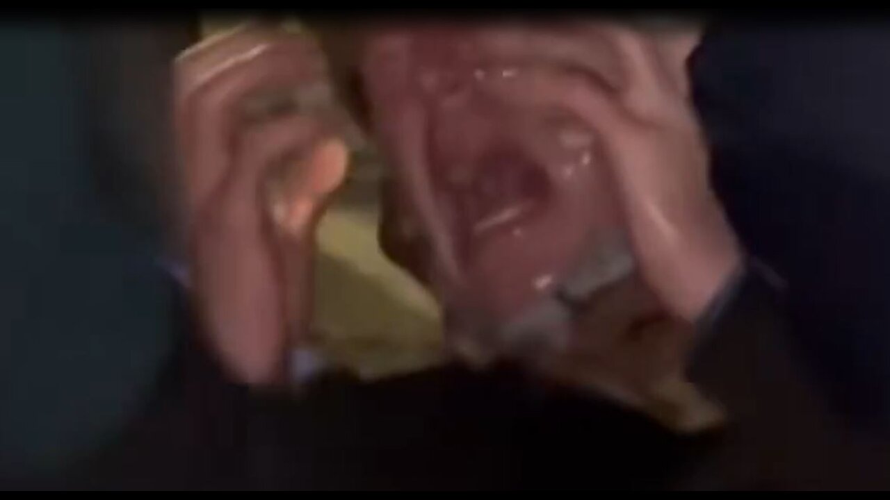 Man cries and screams after being pepper sprayed for harassing ICE