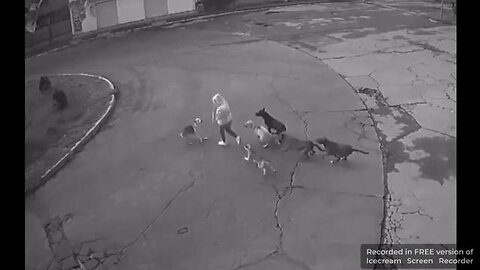 THIS ILLEGAL ALIEN BEANER WENT BACK TO MEXICO SHES A NIGGER TOO