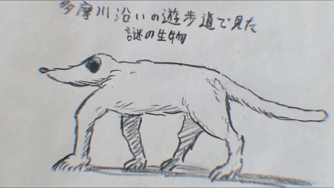Tama River Creature