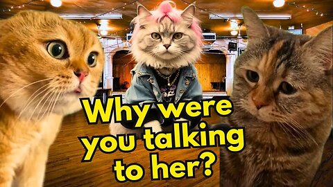 When a Cat is Jealous About her Boyfriend Talking to Another Cat