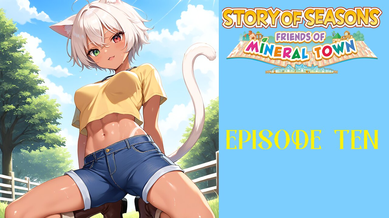 Story of Seasons Friends of Mineral Town - 10