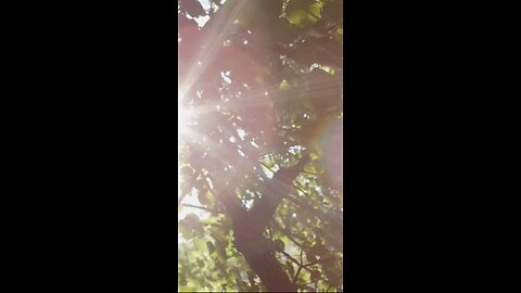 Daily Verse October 18th 2025