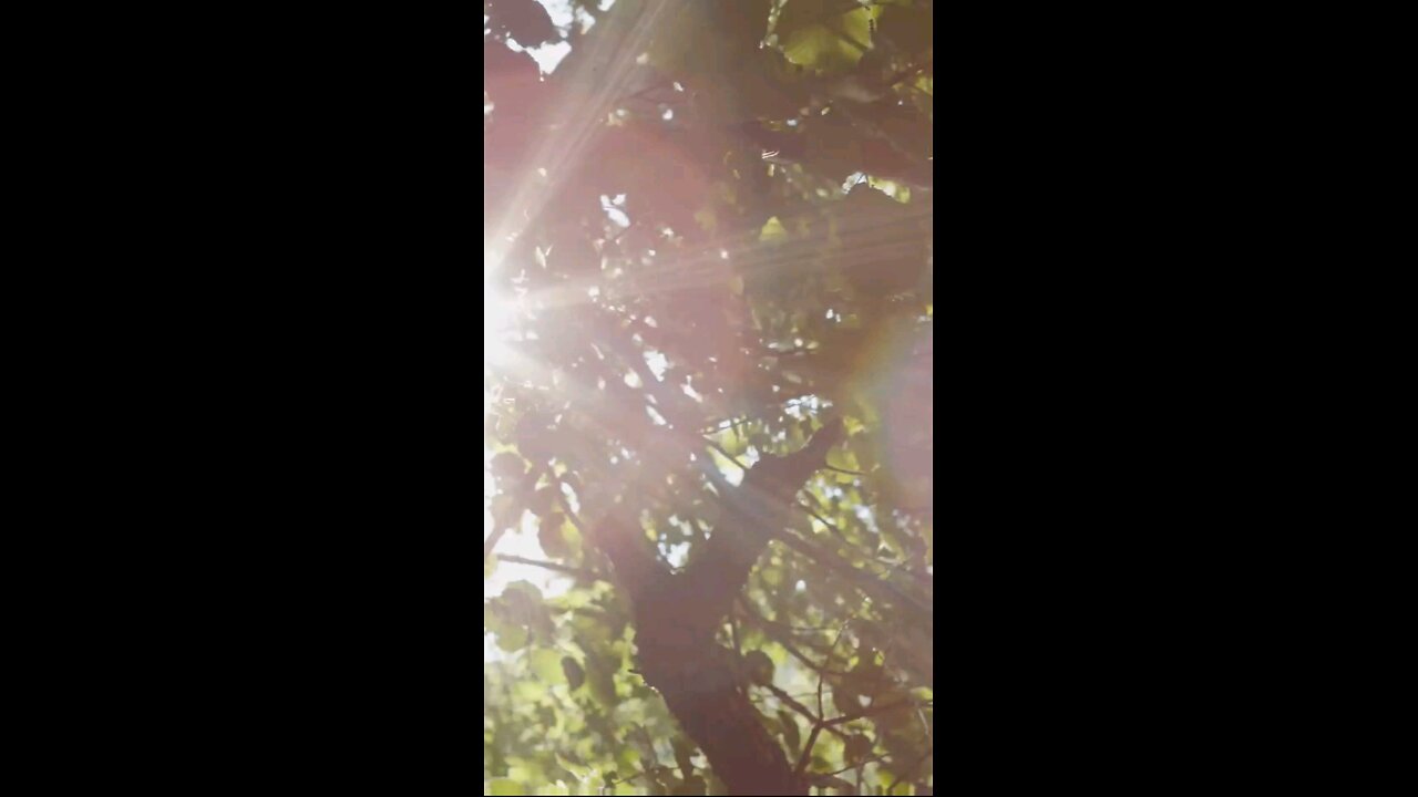 Daily Verse October 18th 2025