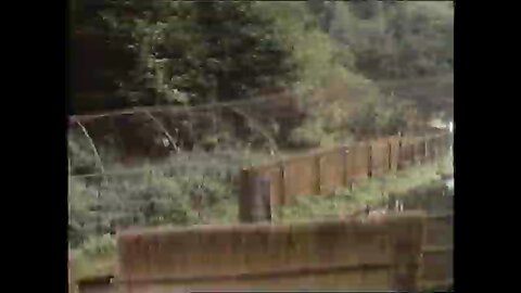 The Piper Of Nacton 1975