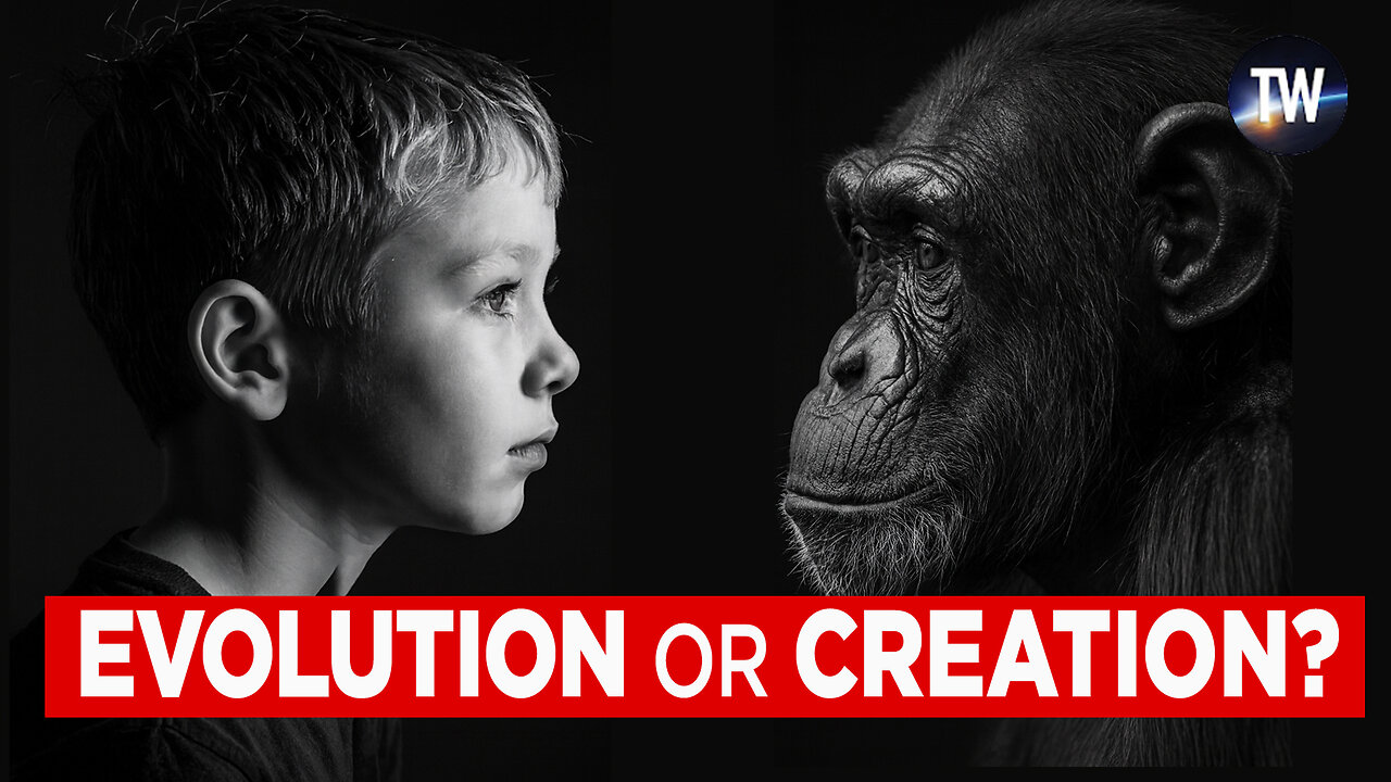 3 Lies of Evolution (With Consequences for Believing Them)
