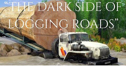 “What’s Hiding on These Logging Roads Will Leave You Speechless”