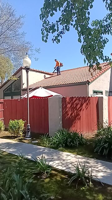 A Gardener Doing "Roof Maintenance" at Villa del Sol