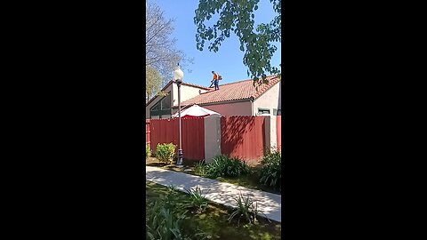 A Gardener Doing "Roof Maintenance" at Villa del Sol
