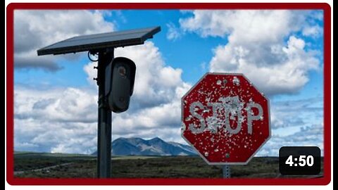 Rise of the Safety State | Greg Reese