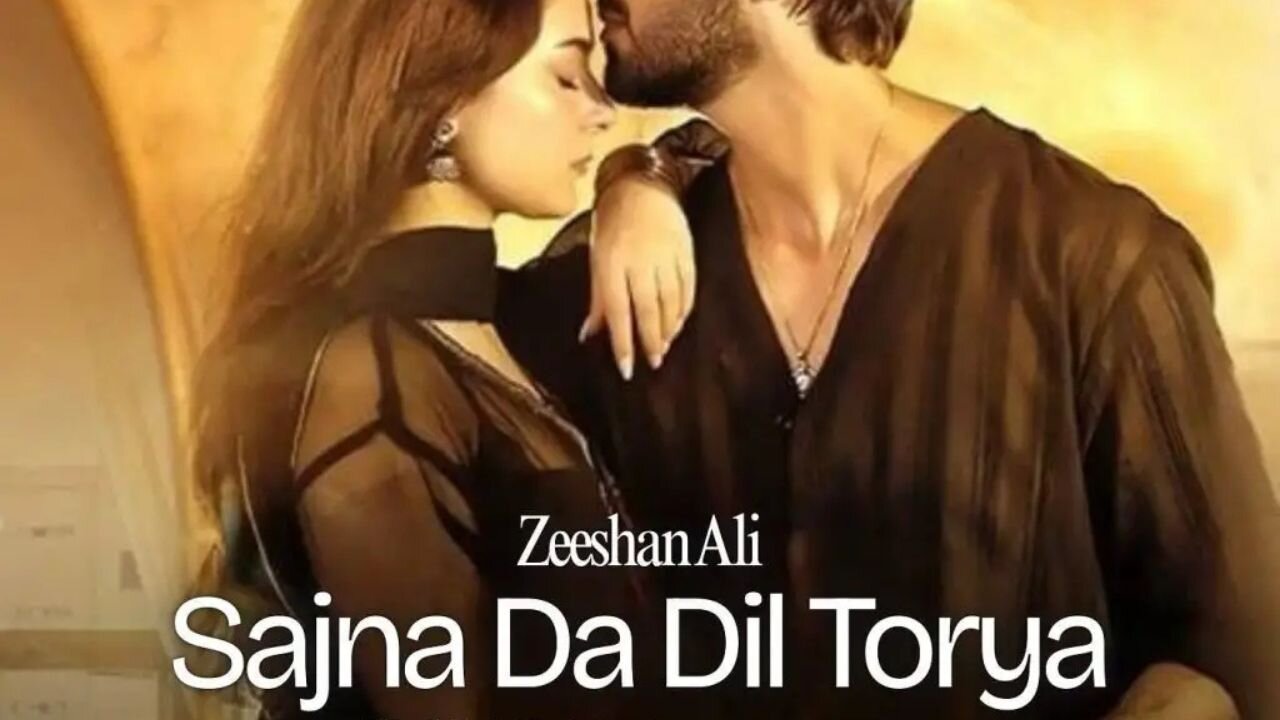 Sajna Da Dil Torya | Zeeshan Ali | Desi Melody Reflections