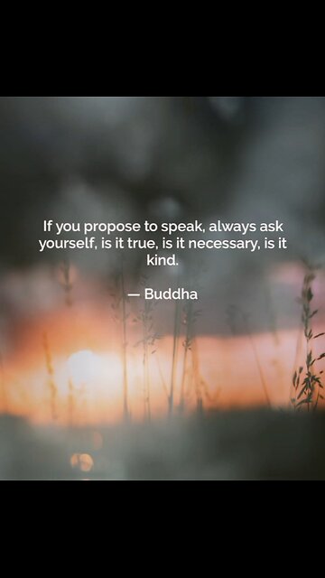 Your Qoute For A Day 28