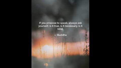 Your Qoute For A Day 28