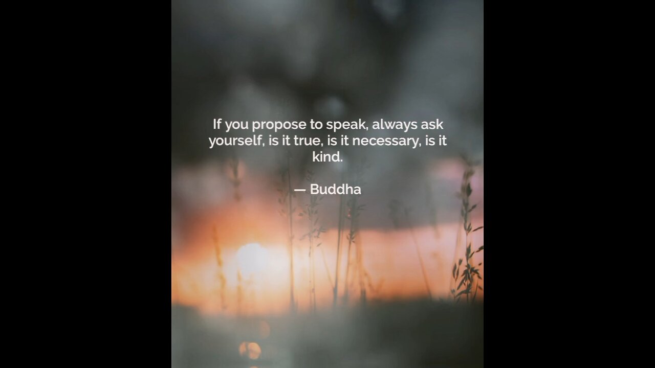 Your Qoute For A Day 28