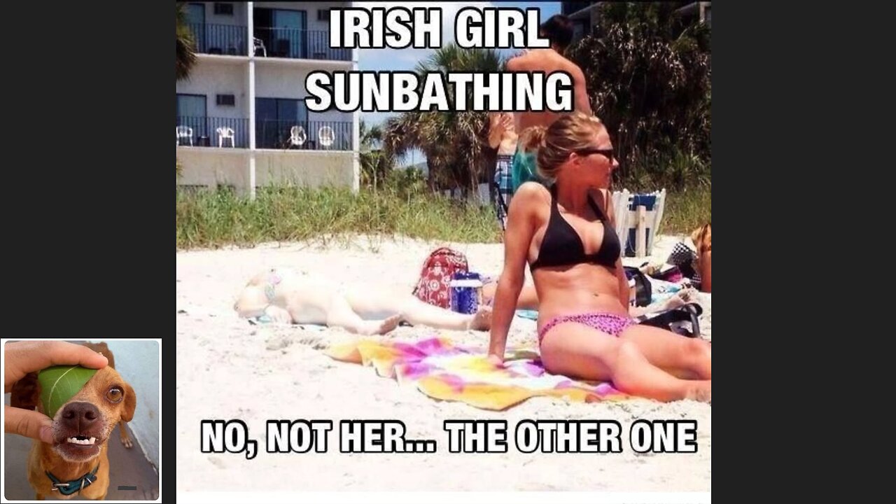 Meme compilation Episodes 586-590.