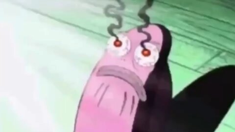 Funny video 📷📸.