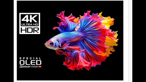 Amazing Underwater in 4K Videos | Dolby Vision HDR 4K 120FPS