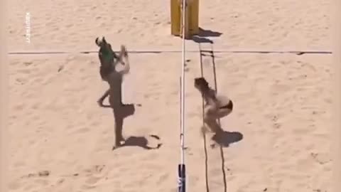 🤯🔥 Epic Volleyball Face Off You Have To See! | FeedMyCuriosity