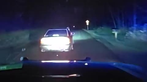 Dog Ejected from Vehicle After Suspect Crashes Fleeing from Police