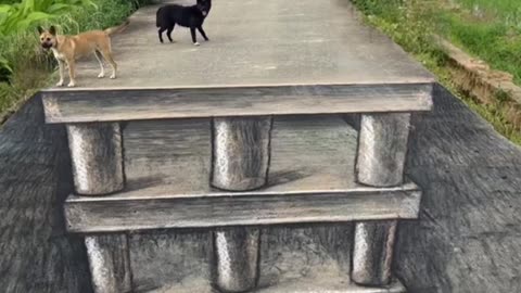 Road par illusion sketch ban kar sab ko dara diya