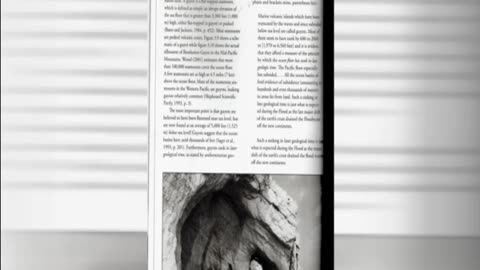 03.06.Flood by Design part 4