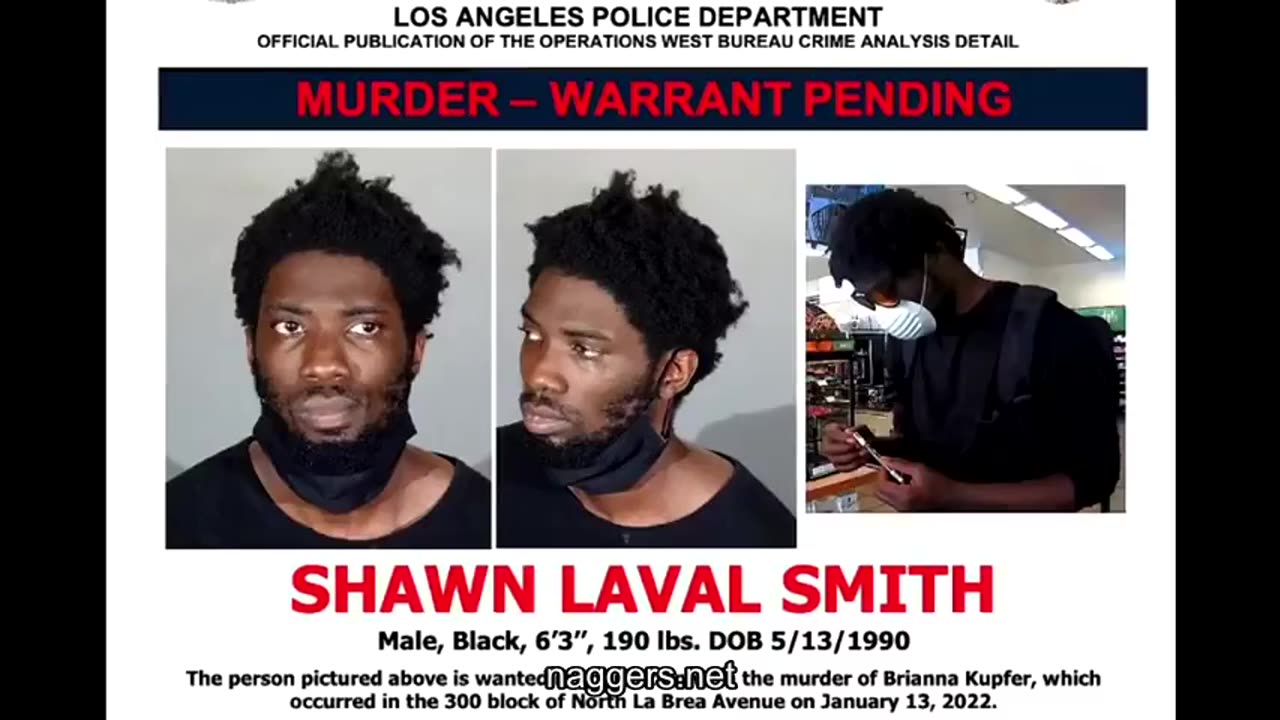 Black Crime: Why Our Rulers Hide It