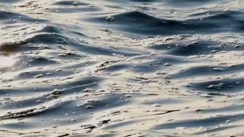 Daily Horoscope | Aquarius 🌟