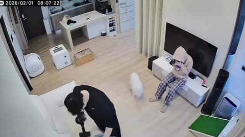 A pet named tornado 😂