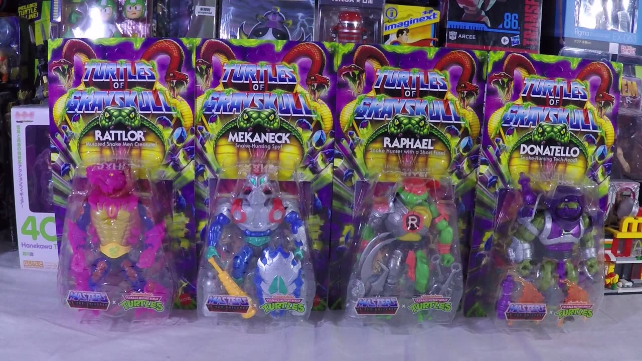 Turtles of Grayskull Wave 5 case unboxing