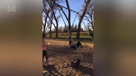 hilaorus fails you may have missed best funny video