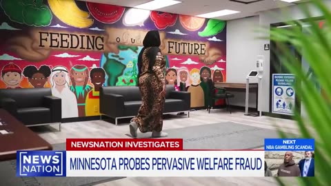 🚨 INFURIATING: It's been confirmed that Minnesota Somalians haven't stolen ...